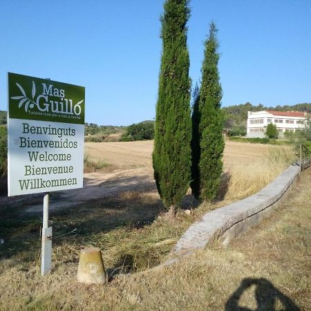 La Nursery De Mas Guillo San Quintin de Mediona Exterior photo