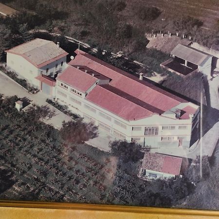 La Nursery De Mas Guillo San Quintin de Mediona Exterior photo